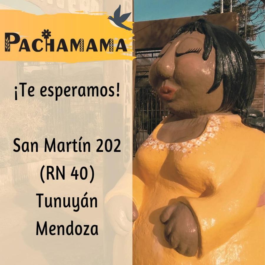 Departamentos Pachamama Apartment Tunuyan Exterior photo